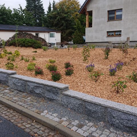 pflanzung-13.jpg