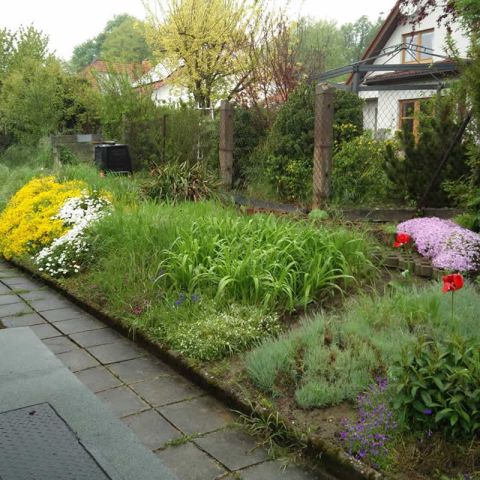 Bepflanzung
