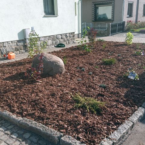 pflanzung-12.jpg
