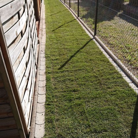 pflanzung-9.jpg