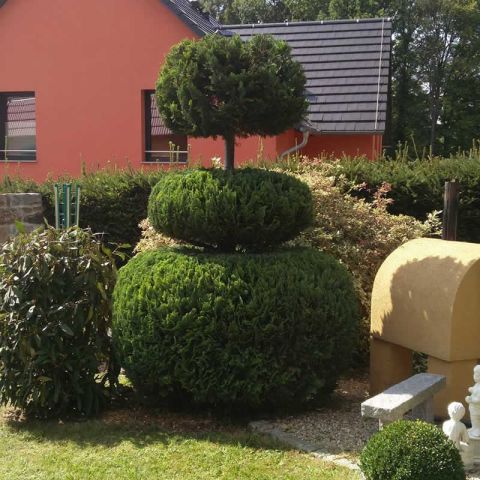 Formschnitt nachher