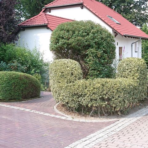 heckenpflege.jpg